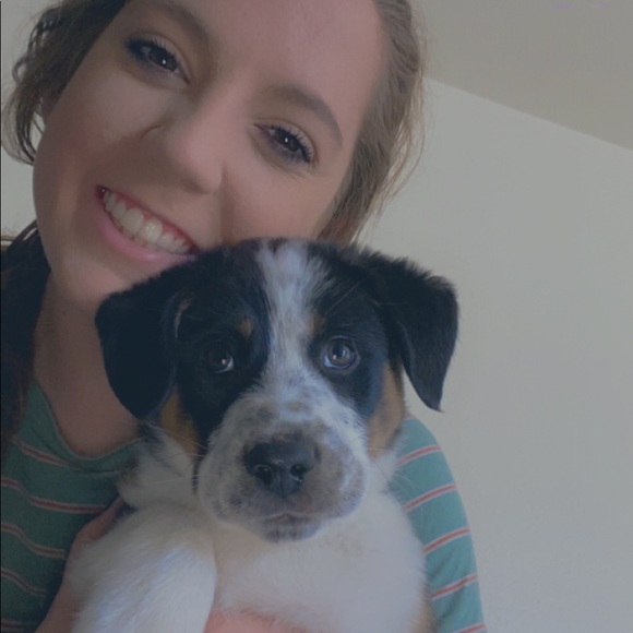 Meet your Posher, Taylor - Picture 1 of 1